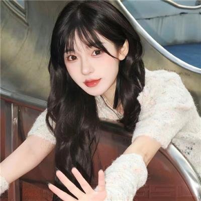 马拉喀尔：阿拉伯海狮